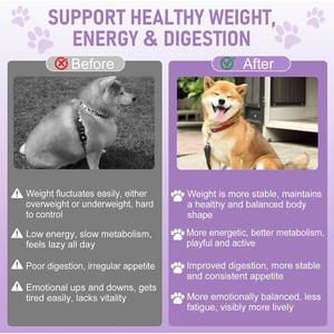 Dukungan kekebalan tubuh anjing tetesan chicweed & Gymnema suplemen gizi dengan dukungan metabolisme energi Organik Mineral - Product Image 4