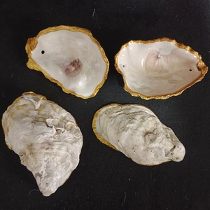 Ornements de coquilles d'huîtres Plage côtière de Noël nacrée avec plaqué or pour mariage - Product Image 6
