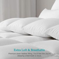 Couette, couette d'hôtel, couette de luxe en duvet d'oie couette Hilton couette pour la maison hôtel