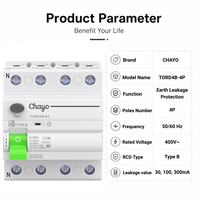 Disjoncteur différentiel 10KA Type B 4P pour système de charge de véhicules électriques et solaires, 30mA 100mA 300mA 400V 63A CB/BV/ IEC Chayo