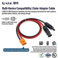 Kabel Cabang PV Surya Custom 10AWG 12AWG Amass LCB40-F ke Adaptor Konektor Surya Dual MC4 untuk Generator Pembangkit Listrik Portabel