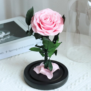 Fleurs Conservées Sous Dôme en Verre avec Tailles Personnalisables, Durables et Idéales pour les Cadeaux lors <span class=keywords><strong>de</strong></span> Toutes les Occasions - Product Image 3