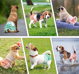 Échantillon Gratuit de Couches Écologiques Imperméables pour Chiens - Paquet en Gros Réutilisable et Lavable pour Femelles et Mâles - Product Image 6