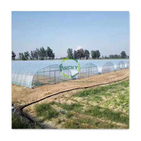 Légumes d'hiver en aluminium agricole Cadre en acier galvanisé à chaud Feuille de plastique Tunnel de serre à travée unique Maisons vertes