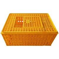 Cages pour le transport d'équipements agricoles pour poulets vivants, caisse de transport pour poulets, cage à poulets à vendre