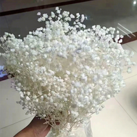 Karangan Bunga Hias dan Tanaman Bunga Awet Mini Baby's Breath Bunga Kering Karangan Bunga Putih Buket Gypsophila