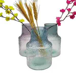Vase coloré vases en verre de fleur pour la décoration intérieure