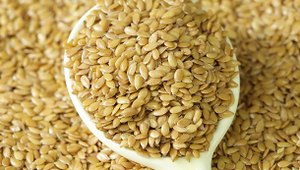 Lin d'Inde blanc naturel de qualité supérieure, moulu à froid, riche en oméga-3, en vrac, 25 kg/sac, provenant de <span class=keywords><strong>Wuchang</strong></span>, Heilongjiang, pour les produits nutritionnels végétaliens - Product Image 4