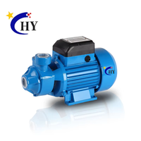 Pompe à eau domestique surpresseur QB60 QB70 QB80 110V/220V 50HZ/60HZ, pompe périphérique électrique haute pression à vortex 0.5HP 0.75HP 1HP OEM
