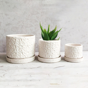 Trung Quốc Nhà Máy Nguồn cung cấp giá rẻ trang trí nội thất làm vườn khuôn mẫu hình trụ mọng nước chậu Khay cho cây xanh carton cho khách sạn - Product Image 2