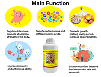 OEM Additif Alimentaire Vitaminé Liquide Oral Solution Multivitaminée Orale pour Poulets Hydrosoluble Aliment Volaille Vitamine Poule Oeuf
