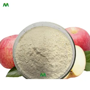 Succo biologico per uso alimentare 99% frutta mela in polvere naturale polvere istantanea mela frutta estratto in polvere