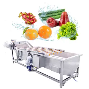 Continuously Fruit And Vegetable Washer Ultrasonic Small Konjac Root Herb Apple Washing Machine