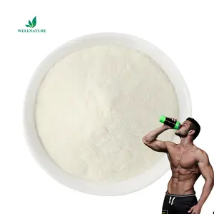 Isolate Whey Protein Bulk WPC 80% Concentrate Whey Protein Powder