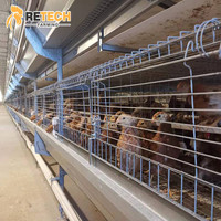 Cage en acier pour la culture des œufs, 4 niveaux, Vertical, en maille métallique, équipement pour poules, adapté aux poules