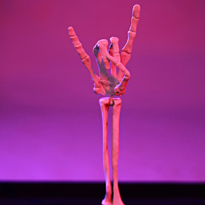 Juego de 4 estacas de mano de esqueleto para Halloween, decoración para jardín/exterior, brazos de esqueleto con gestos de <span class=keywords><strong>roca</strong></span>, accesorios espeluznantes para fiestas de Halloween - Product Image 6