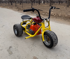 Khung xe ba bánh điện địa hình 85cc 125cc dành cho người lớn, bộ dụng cụ bánh xe tuyết 300cc, xe máy địa hình 72v 250cc, động cơ không chổi than điện - Product Image 1