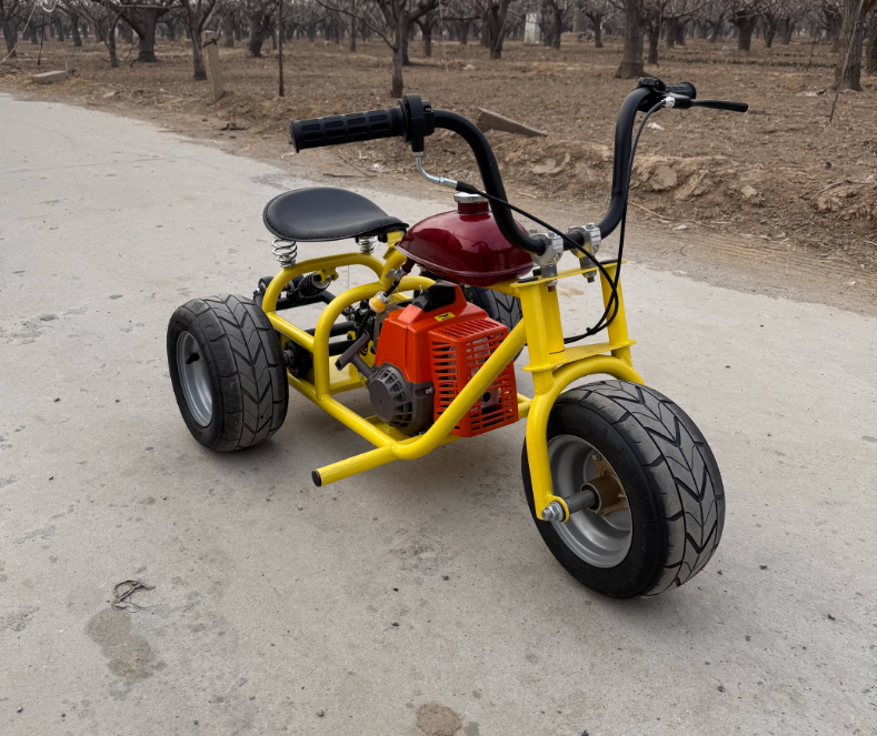 Doodle Bug Adult Mini Bike Frame 250cc Dirt Bike Frame High