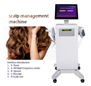 Professional Hair Loss Treatment Head <b>Massage</b> Hair Spa Regrowth Scalp Treatments Hair Growth <b>Machine</b> - Product Image 2