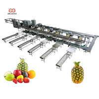 Volledig automatische fruit- en citrusgewichtsorteermachine voor verse mandarijnen en sinaasappels