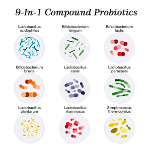 10พันล้าน CFU 9ใน1โปรไบโอติกในลำไส้สำหรับสูตรแคปซูล - Product Image 3