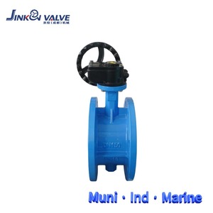 Valvola a Farfalla Flangiata in Ghisa Sferoidale con Disco Rivestito in Nylon e Guarnizione EPDM, Standard DIN ANSI JIS, Valvola Industriale - Product Image 1