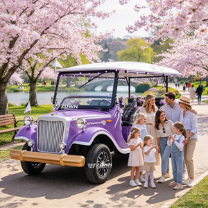 ZOWN Vehículo Eléctrico Turístico Vintage para Subir Colinas con Diseño Optimizado para Eventos Culturales y Servicios de Turismo Comercial - Product Image 1