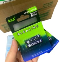 Piles alcalines HNPE haute performance, vente en gros, OEM personnalisé, 1,5 V AA LR6 E91 AAA E92 LR03