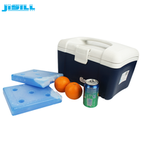 Vessie de glace froide eutectique matérielle sûre en plastique de brique de glace de plat/gel pour la nourriture congelée