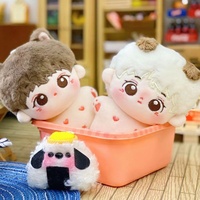 Muñeco de Peluche Personalizado de 20cm de Ídolo K-pop, Figura de Juguete Suave de Algodón, Venta al por Mayor, Fabricante OEM, Mascota para Colección de Fans