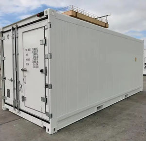 Contenedor refrigerado marítimo de 20 pies, equipo de control de temperatura para transporte en cadena de frío - Product Image 1