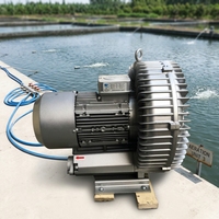 Penjualan Terlaris 5.4 HP 4/4.6kW Blower Regeneratif Tekanan Tinggi Ring Air Blower untuk Sistem Aerasi Tambak Ikan Akuakultur