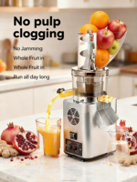 Motor Juicer Komersial 500W/750W/1200W untuk Buah Lunak Wortel, Ekstraktor Jus Peras Dingin Lambat dengan Sertifikasi CE/FCC/UL