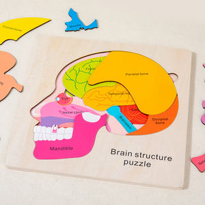 2025 nuovo Design intelligente vendita calda Unisex fabbrica di giocattoli all'ingrosso Montessori struttura precoce educativo del cervello puzzle in legno per bambini - Product Image 5