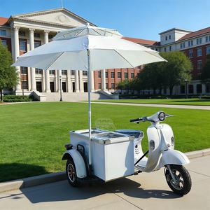 รถเข็นขายไอศกรีมแช่แข็งแบบเคลื่อนที่พร้อมร่ม - Product Image 1