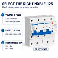 Disjoncteur différentiel CHINT NXBLE-125 63A 80A 100A 125A courbe C D pour panneaux de commande industriels
