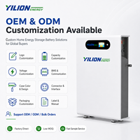 1 Pc MOQ 51.2V 16kWh LiFePO4 Baterai Rumah Hybrid Split Grid dengan Layar Sentuh Pintar, Komunikasi CAN, Kustomisasi OEM/ODM