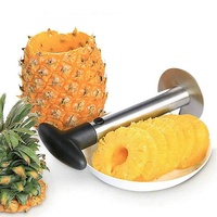 Hot Selling Roestvrijstalen Fruit Groente Gereedschap Handmatige Ananas Dunschiller Corer Snijder Voor Eenvoudige Verwijdering En Snijden Van De Kern