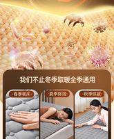 Couverture Chauffante Électrique Lavable Matelassée Douce en Flanelle Sherpa Polaire, Température Réglable, Thérapie Portable pour Hôpital