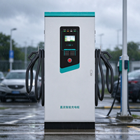Station de recharge rapide DC 60kW 120kW 160kW, chargeur EV double pistolet, écran tactile, arrêt d'urgence, utilisation commerciale en parking