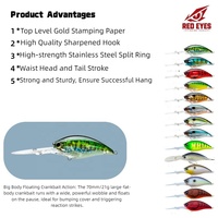 Vente en gros de leurres flottants Big Crankbait de 70 mm et 21 g, leurres durs bioniques pour la pêche, stock d'usine