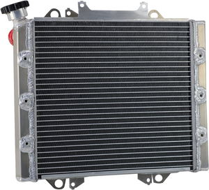 Radiateur ATV pour <span class=keywords><strong>Kawasaki</strong></span> Teryx <span class=keywords><strong>750</strong></span> KRF750 KRF <span class=keywords><strong>750</strong></span> FI 4x4 <span class=keywords><strong>2009</strong></span> <span class=keywords><strong>2009</strong></span> - Product Image 5