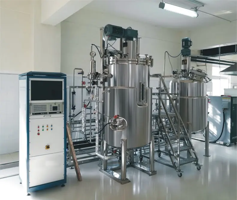 Tecnología Biorreactor automático Fermentor Bioreactor 200L 500L Fermentor PDF