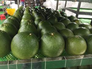 POMELA/GRANADA FRESCA, PRECIO DE EXPORTACIÓN, A LA VENTA, Frutas Tropicales Frescas de Vietnam - WA Linda 0084989322607 - Product Image 3