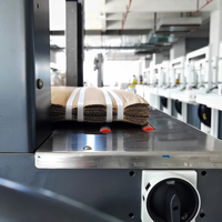 Machine de ligne de soudage électrique Wallepac entièrement automatique Machine de conditionnement verticale de carton de ceinture en plastique avec feuillard en PP pour boîte