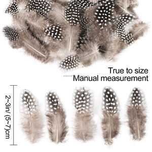 Vente en gros de plumes de faisan Petits points et gros points Plumes de guinée avec échantillon gratuit Agréable et plumeux - Product Image 2