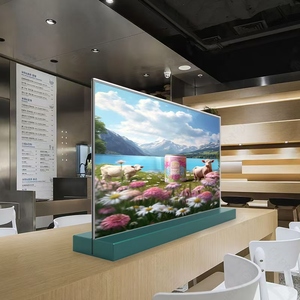 Écran Oled Transparent de 30 pouces 1366x768 120hz Panneau Oled Transparent - Product Image 5