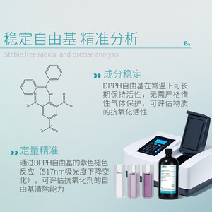 Solución Bikman Bio DPPH 0.1/0.2 mmol/L de grado analítico para investigación - Product Image 2