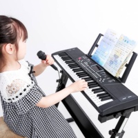 Custom Kids Piano Toy BD-602 Portable 61 Keys Electronic Keyboard Piano with 10 Rhythm Musical Instruments Factory Directly OEM