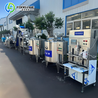 Complete project voor het mengen en vullen van appelsappoeder, productielijn voor fruit (mango, sinaasappel)
